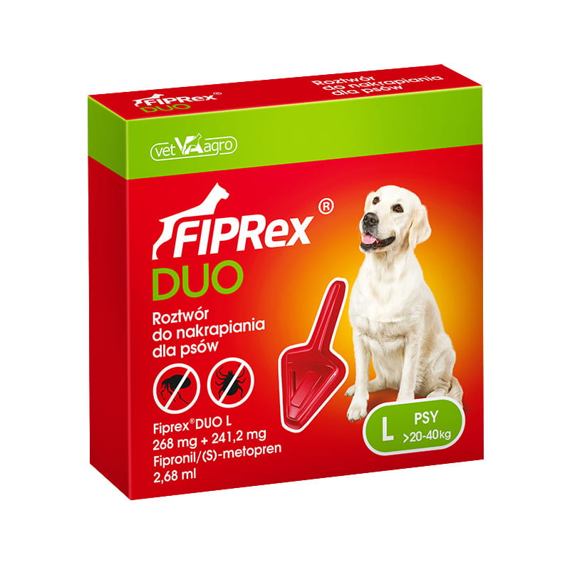 DUO L.jpg